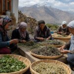 Himalayan Herbal Infusion Cluster