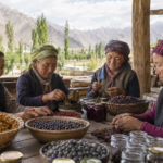 Drass Nettle & Mountain Herb Producers